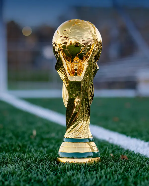 Housing Search and Settling In